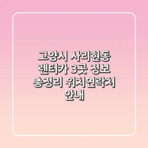 고양시 사리현동 렌터카 3곳 정보 총정리 - 위치/연락처 안내