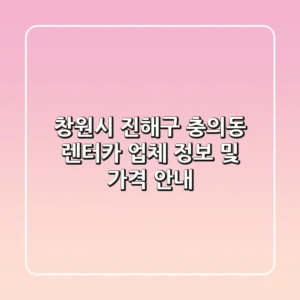 창원시 진해구 충의동 렌터카 업체 정보 및 가격 안내