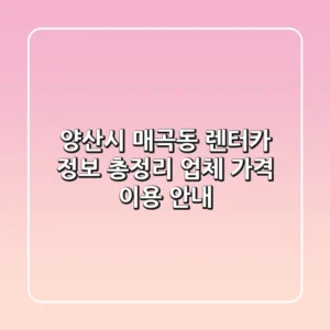 양산시 매곡동 렌터카 정보 총정리 - 업체, 가격, 이용 안내