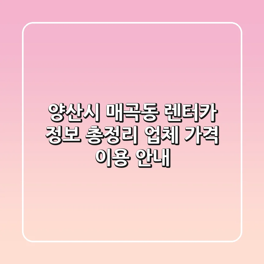 양산시 매곡동 렌터카 정보 총정리 - 업체, 가격, 이용 안내