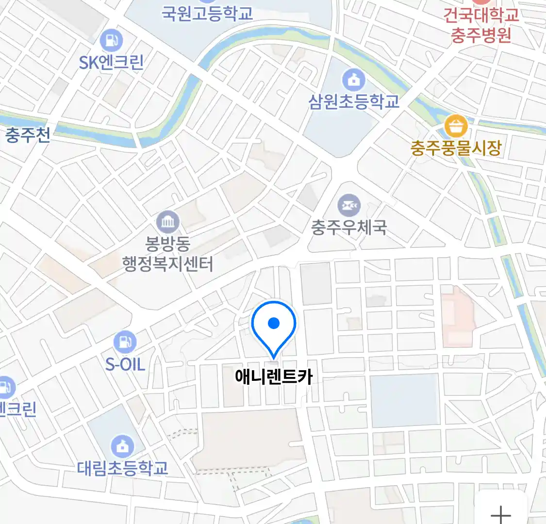 애니렌트카 위치