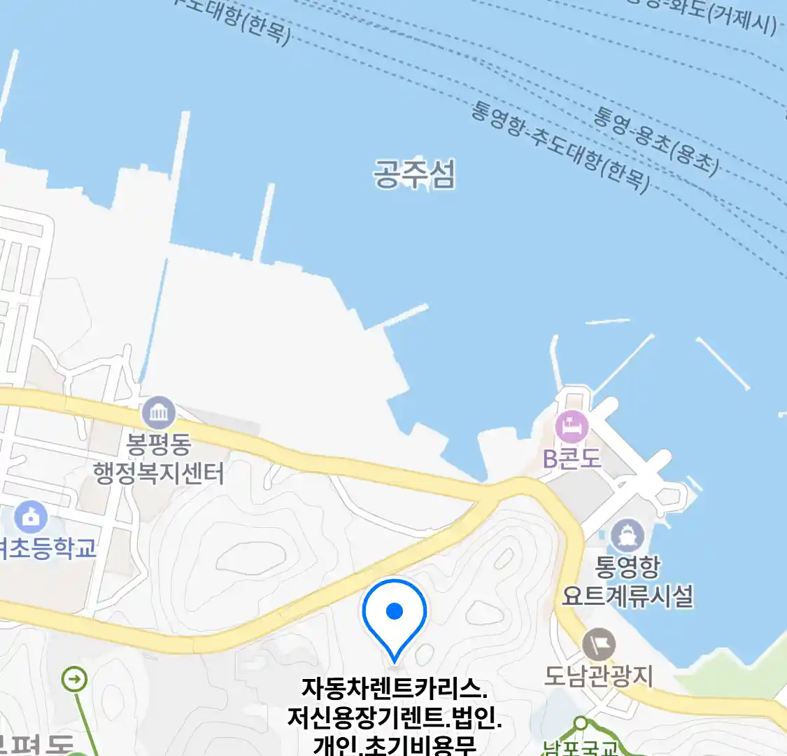 자동차렌트카리스.저신용장기렌트.법인.개인.초기비용무 위치