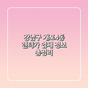 강남구 개포4동 렌터카 업체 정보 총정리