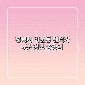 평택시 비전동 렌터카 4곳 정보 총정리