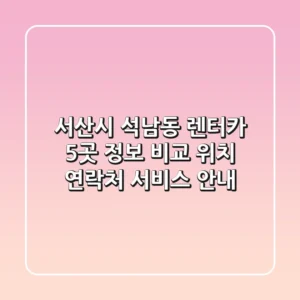 서산시 석남동 렌터카 5곳 정보 비교 - 위치, 연락처, 서비스 안내