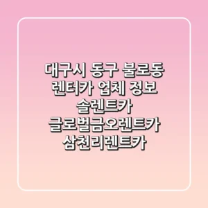 대구시 동구 불로동 렌터카 업체 정보 - 솔렌트카, 글로벌금오렌트카, 삼천리렌트카