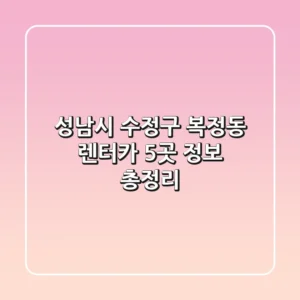 성남시 수정구 복정동 렌터카 5곳 정보 총정리