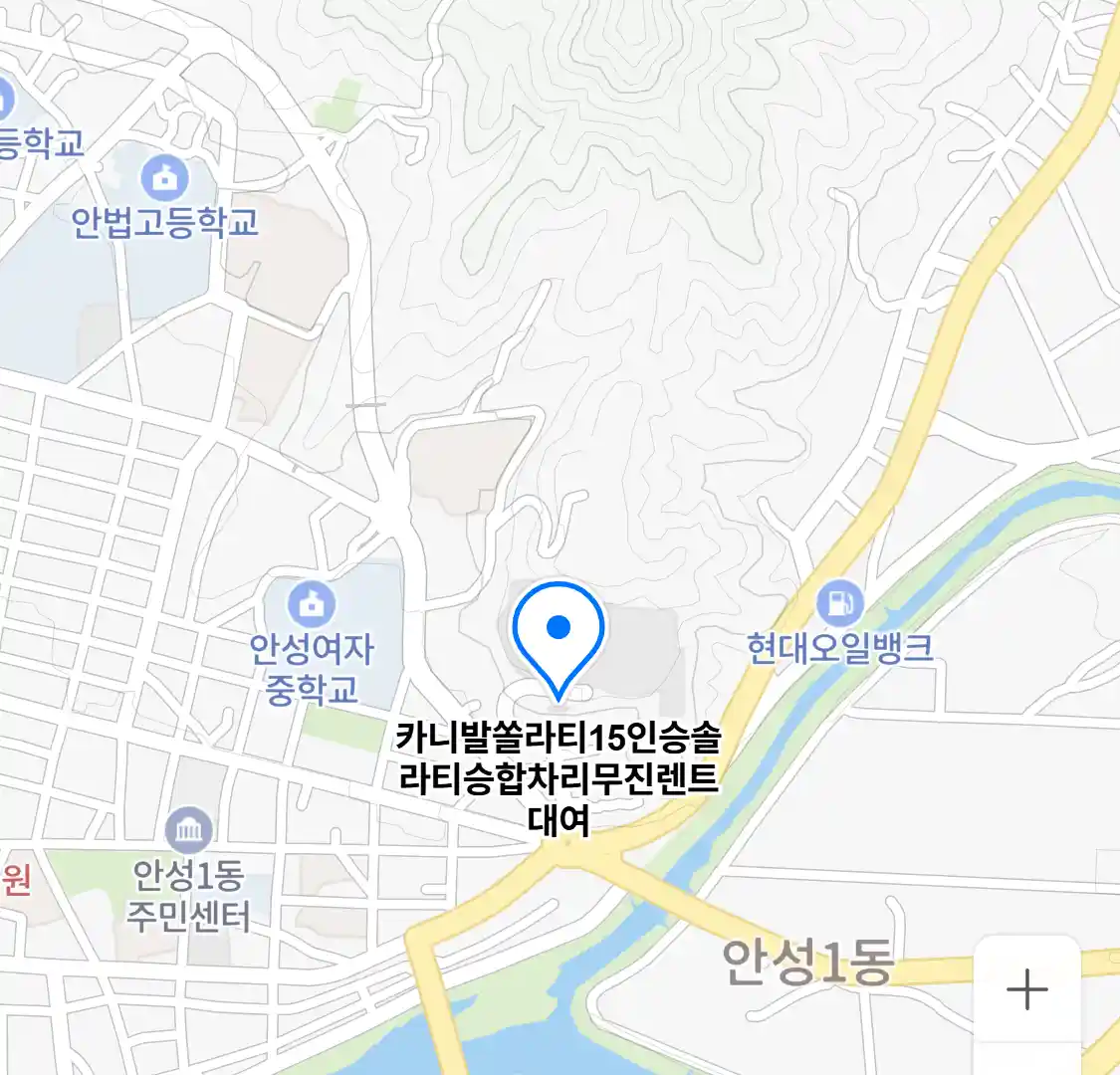 카니발쏠라티15인승솔라티승합차리무진렌트대여 위치