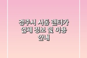 경주시 시동 렌터카 업체 정보 및 이용 안내