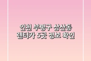 인천 부평구 삼산동 렌터카 5곳 정보 확인