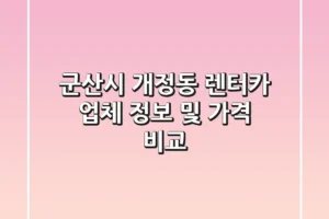 군산시 개정동 렌터카 업체 정보 및 가격 비교