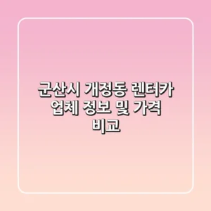 군산시 개정동 렌터카 업체 정보 및 가격 비교