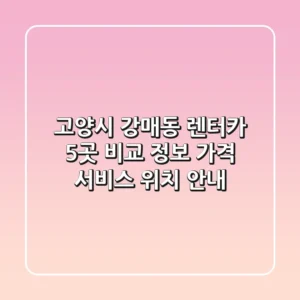 고양시 강매동 렌터카 5곳 비교 정보 - 가격, 서비스, 위치 안내