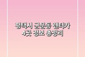 평택시 군문동 렌터카 4곳 정보 총정리