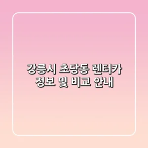 강릉시 초당동 렌터카 정보 및 비교 안내