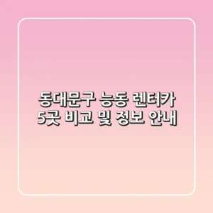 동대문구 능동 렌터카 5곳 비교 및 정보 안내