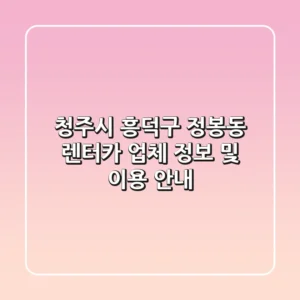 청주시 흥덕구 정봉동 렌터카 업체 정보 및 이용 안내