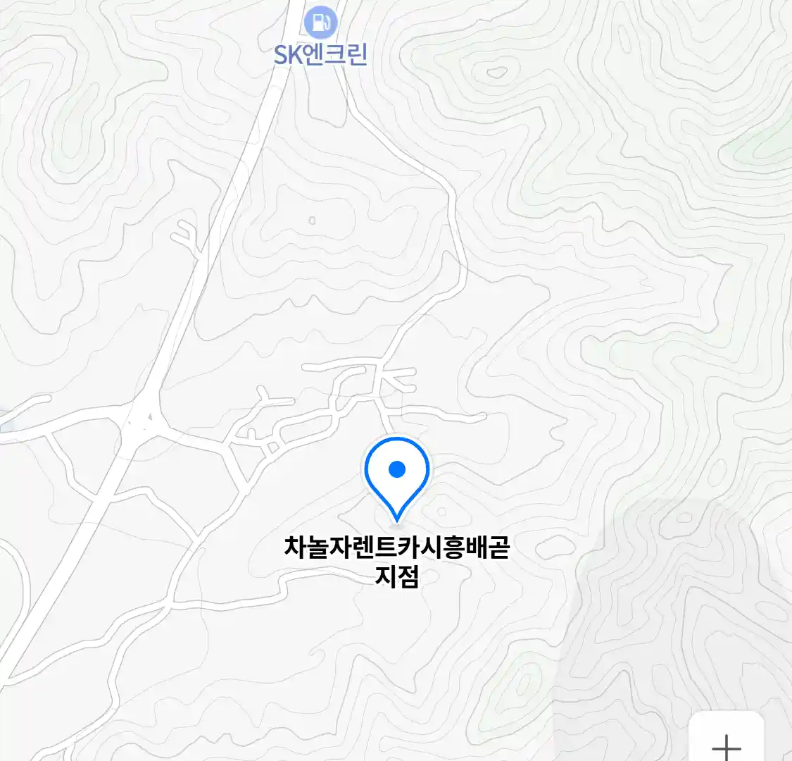 차놀자렌트카시흥배곧지점 위치