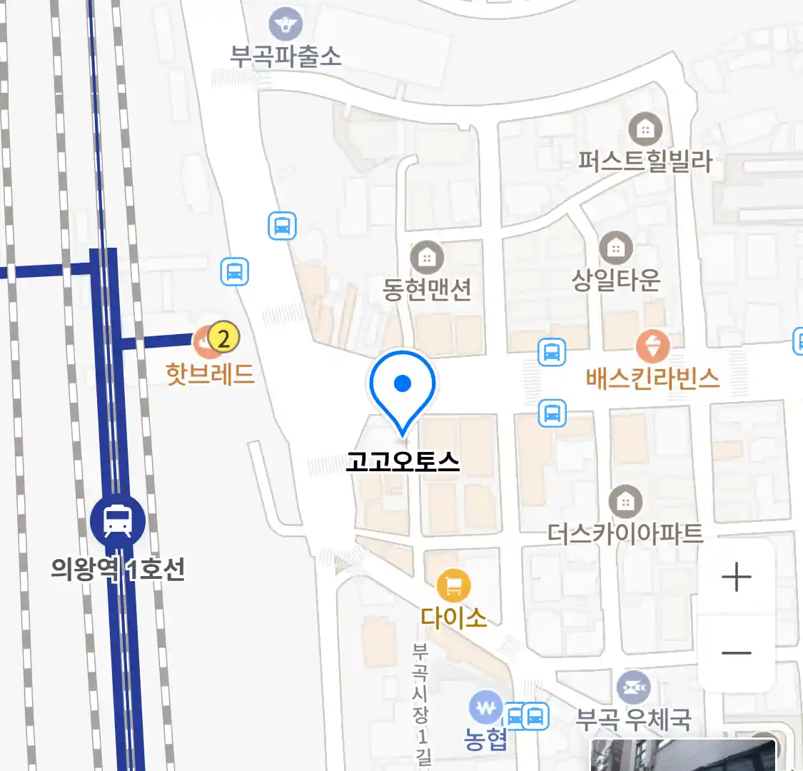 고고오토스 위치