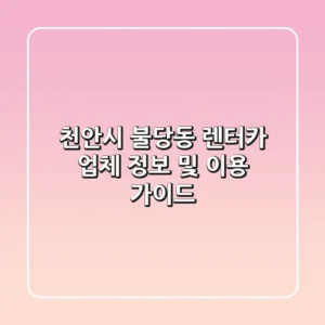 천안시 불당동 렌터카 업체 정보 및 이용 가이드