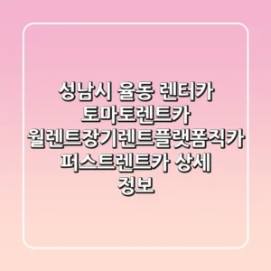 성남시 율동 렌터카: 토마토렌트카, 월렌트장기렌트플랫폼직카, 퍼스트렌트카 상세 정보