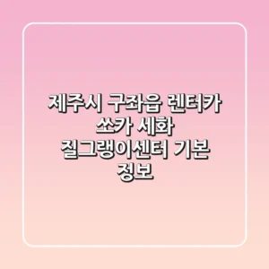 제주시 구좌읍 렌터카: 쏘카 세화 질그랭이센터 기본 정보