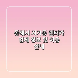 동해시 지가동 렌터카 업체 정보 및 이용 안내