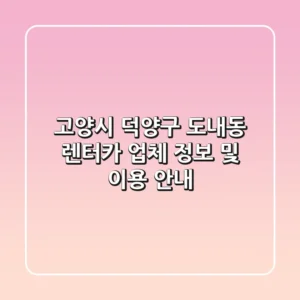 고양시 덕양구 도내동 렌터카 업체 정보 및 이용 안내