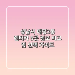 성남시 태평3동 렌터카 5곳 정보 비교 및 선택 가이드
