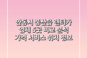 안동시 풍산읍 렌터카 업체 5곳 비교 분석 – 가격, 서비스, 위치 정보