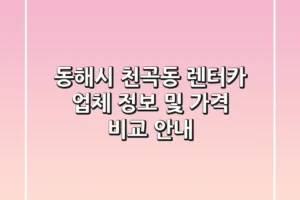 동해시 천곡동 렌터카: 업체 정보 및 가격 비교 안내
