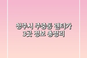 청주시 주중동 렌터카 3곳 정보 총정리