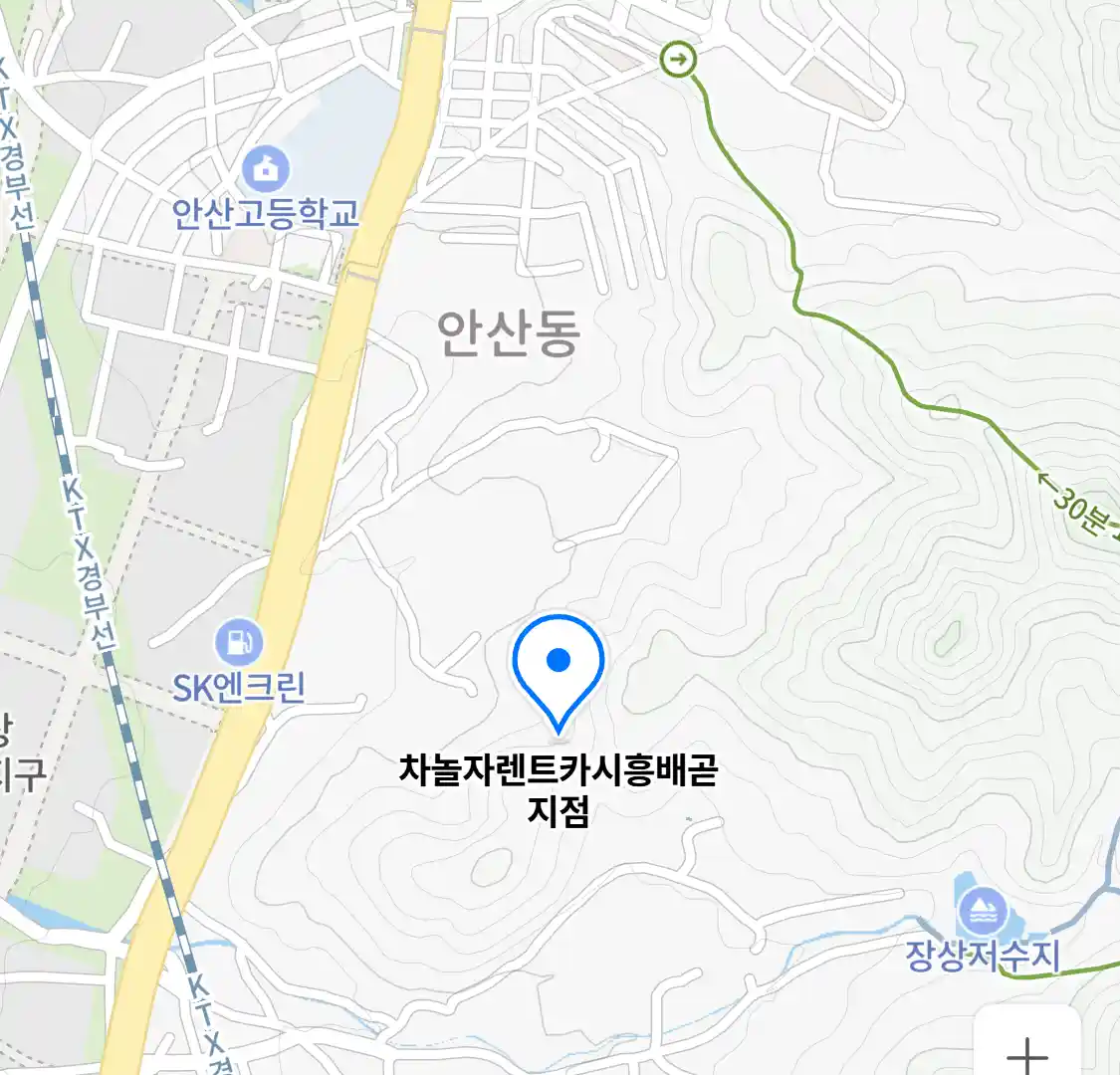 차놀자렌트카시흥배곧지점 위치