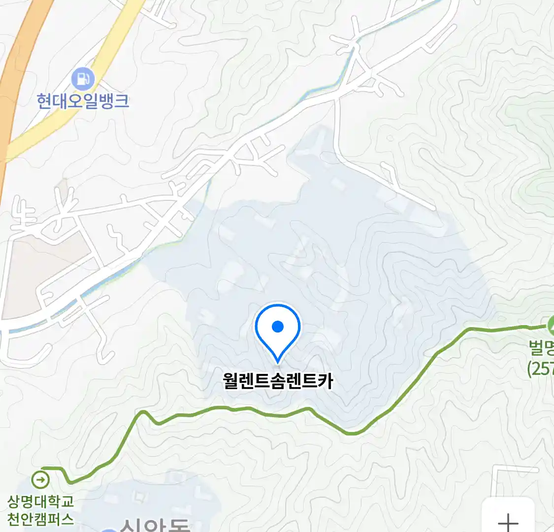 월렌트솜렌트카 위치